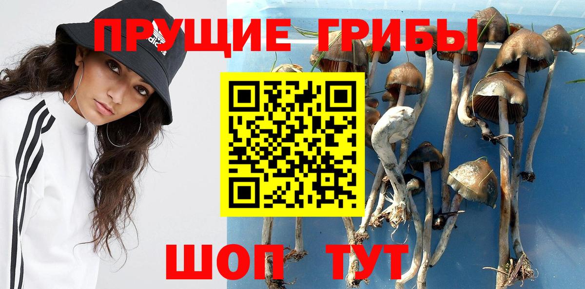 Галлюциногенные грибы мицелий Калуга